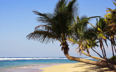 The Weather In Punta Cana And The Best Time To Visit- A Local Guide