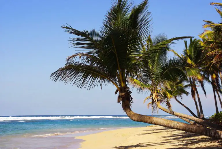 The Weather In Punta Cana And The Best Time To Visit- A Local Guide