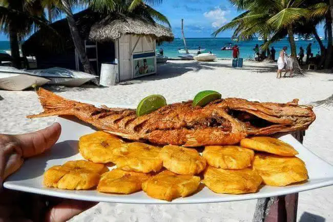 Dominican Republic Food; Culture and History