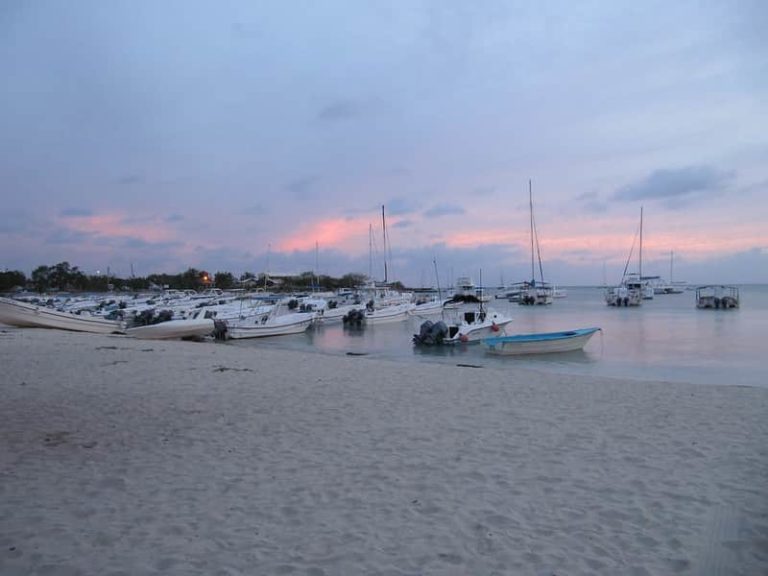 The 7 Best Beaches Of Bayahibe and its Surroundings