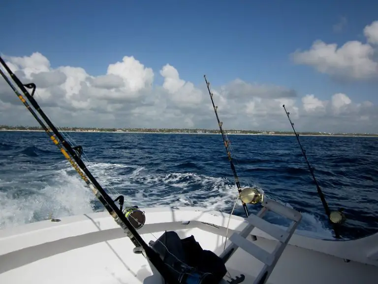 Fishing In Punta Cana And The Dominican Republic-Useful Information