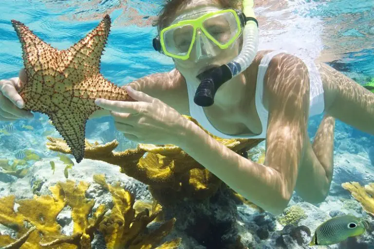 Snorkeling in Punta Cana: Things You Should Know Before Coming