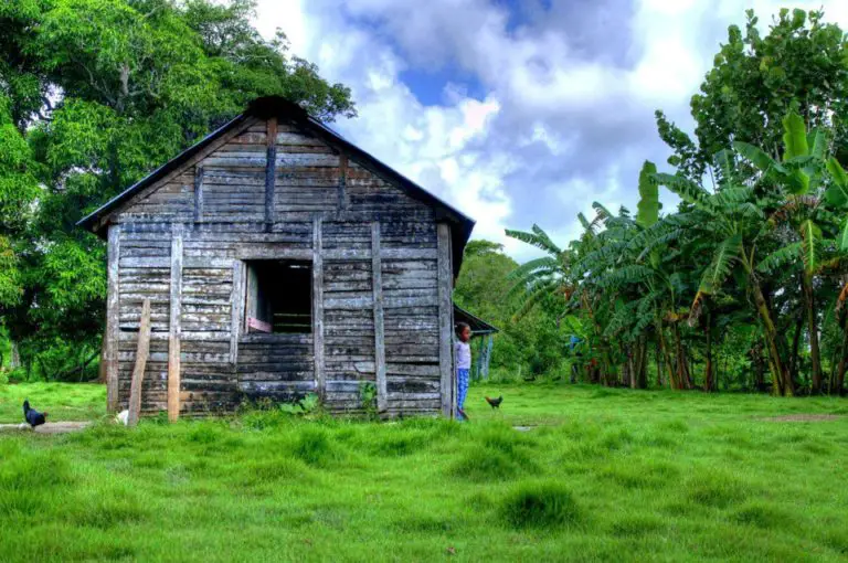 What Does A Dominican Country House Look Like? History And Characteristics