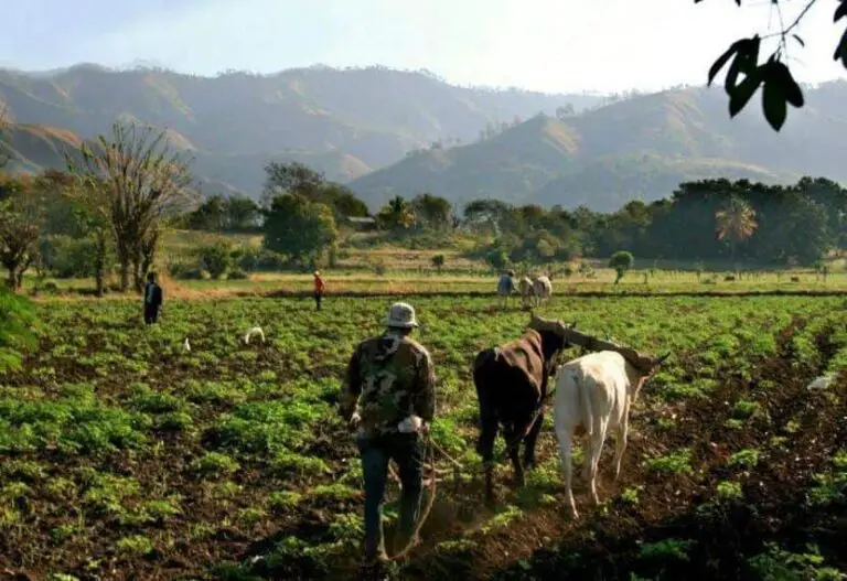 The Peaceful Rural Lifestyle In The Dominican Republic