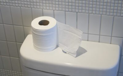 Why Can’t You Flush Toilet Paper In The Dominican Republic? (Solved)