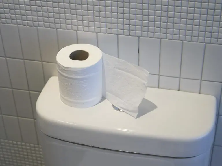 Why Can’t You Flush Toilet Paper In The Dominican Republic? (Solved)